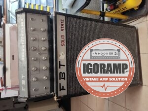 fbt echoguitar 100 