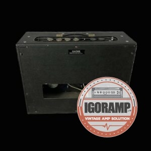 Burns Sonic 20 Combo 1964