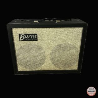 Burns Sonic 20 Combo 1964